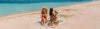 Shop Oversized Beach Towels on Sale with Free Shipping