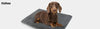 What kind of towel is best for your dogs? Kinhwa Microfiber Dog Towels