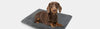 What kind of towel is best for your dogs? Kinhwa Microfiber Dog Towels