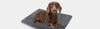 What kind of towel is best for your dogs? Kinhwa Microfiber Dog Towels
