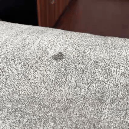 Super Absorbent Bath Towel 30x60Inch,380gsm