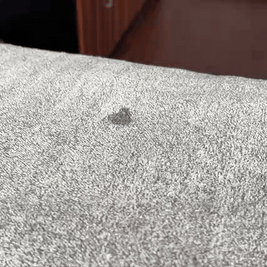 Super Absorbent Hand Towel for Bathroom, 380gsm